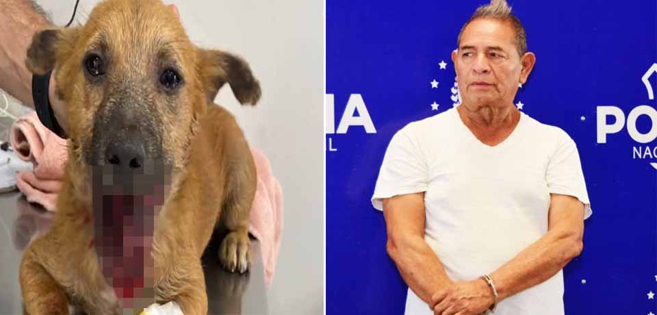 Juez deja libre a sujeto que lanzó mortero a un perro; pero lo recapturan por amenazar a vecinos que le pusieron el dedo