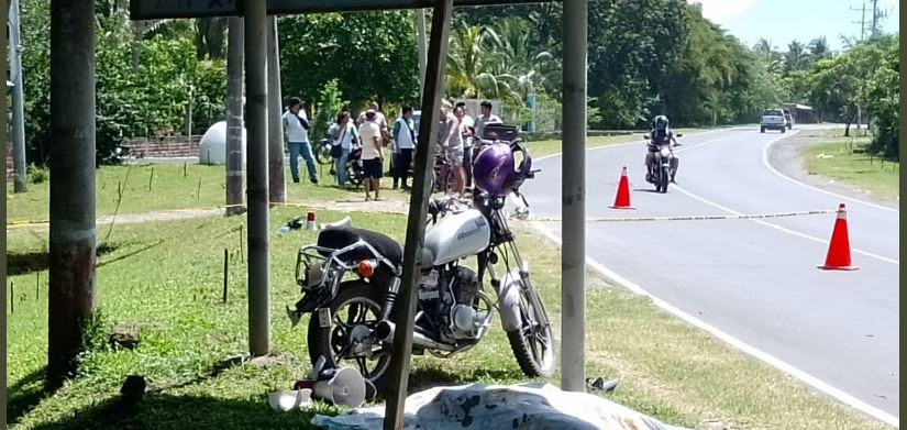 Mujer muere en carretera Costa del Sol tras chocar motocicleta contra una valla publicitaria