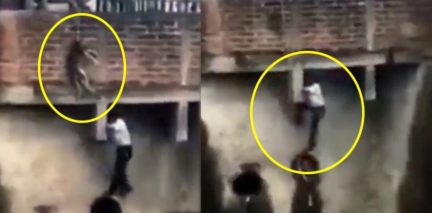 Aplauden a joven que arriesgó su vida para salvar a un perrito en Ahuachapán