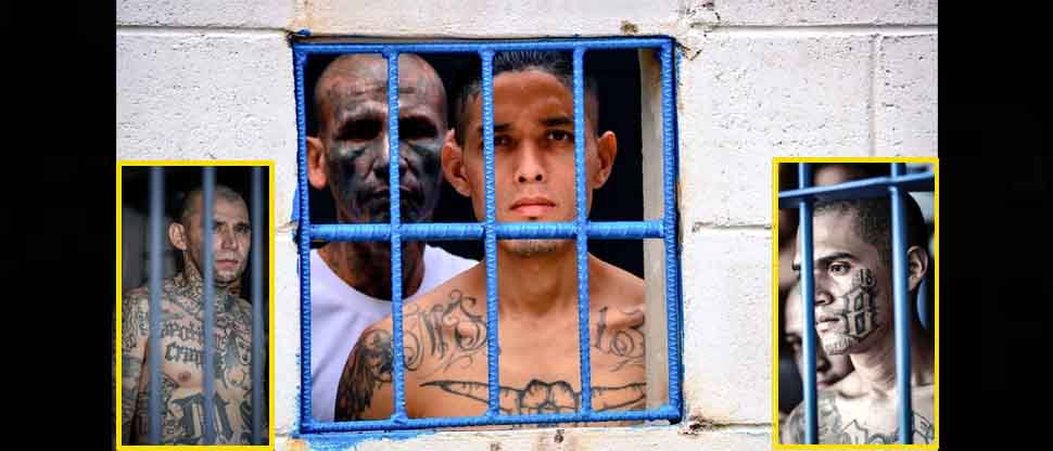 Gobierno continúa encarcelando a pandilleros que por décadas sembraron terror a la población honrada