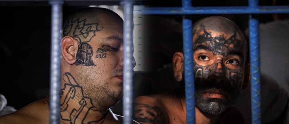 Osiris Luna: «No vamos a dejar ni a un solo pandillero en las calles, ninguno saldrá libre de las cárceles»