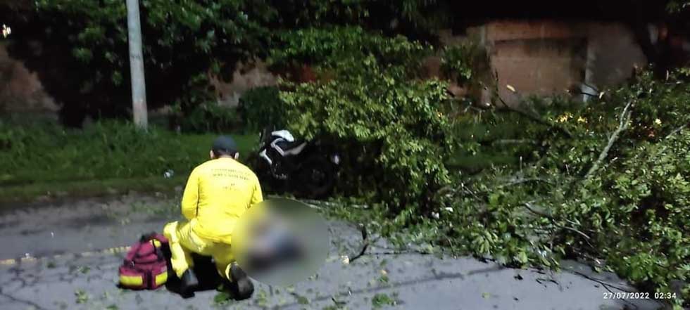 Joven fallece tras caerle la rama de un árbol cuando circulaba en Ciudad Arce