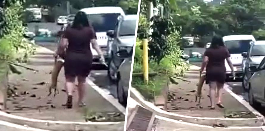 Le caerán con todo el peso de la ley a mujer que fue captada maltratando a un perro en Santa Tecla [VIDEO]
