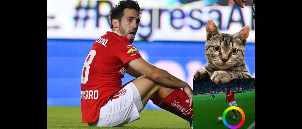Gato casi termina aplastado por futbolista en México