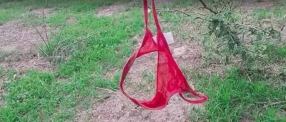 Viralizan en redes sociales imagen de una tanga que fue dejada en un parque