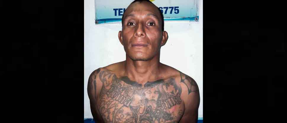 Efectividad policial permite la captura de alias “Pecho”, pandillero que posee alto récord criminal