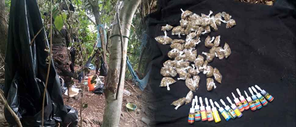 Militares ubican campamento clandestino donde pandilleros se escondían y mantenían drogas