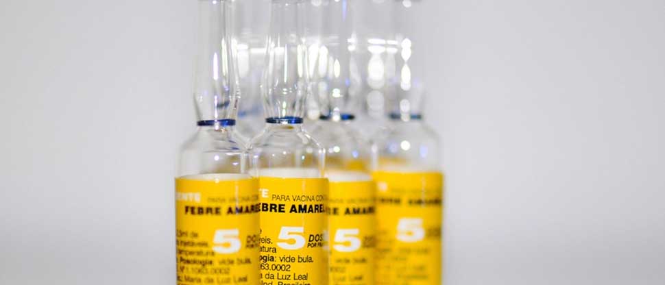 Ministerio de Salud confirma disponibilidad de vacuna contra la fiebre amarilla