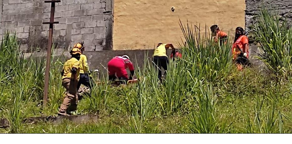 Auxilian a un adulto mayor tras lanzarse de la segunda planta de su vivienda