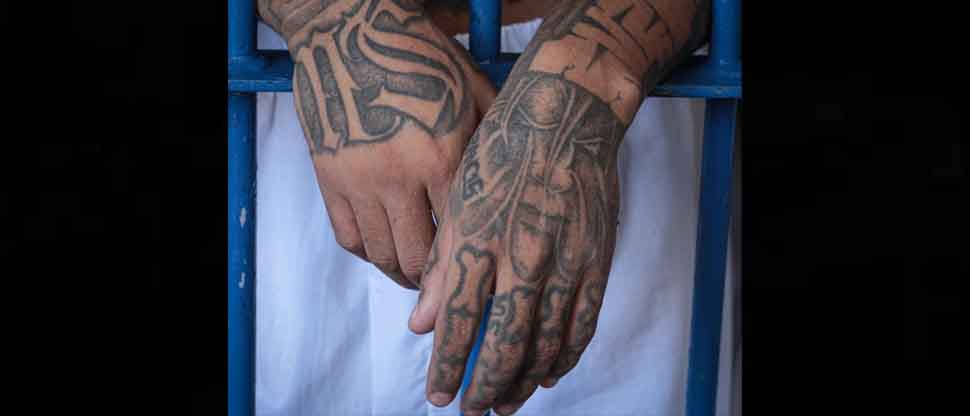 Fiscalía logra que siete pandilleros de la MS sean condenados hasta 149 años de cárcel