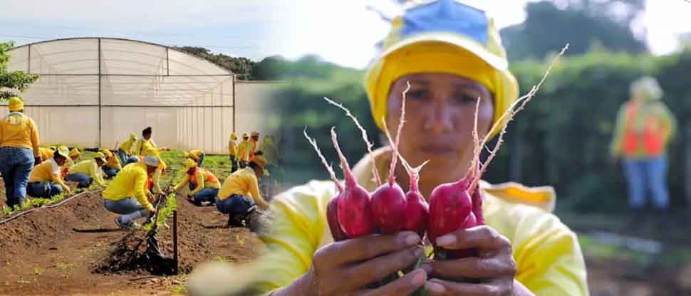 Centros Penales destaca trabajo de internas en fases de confianza