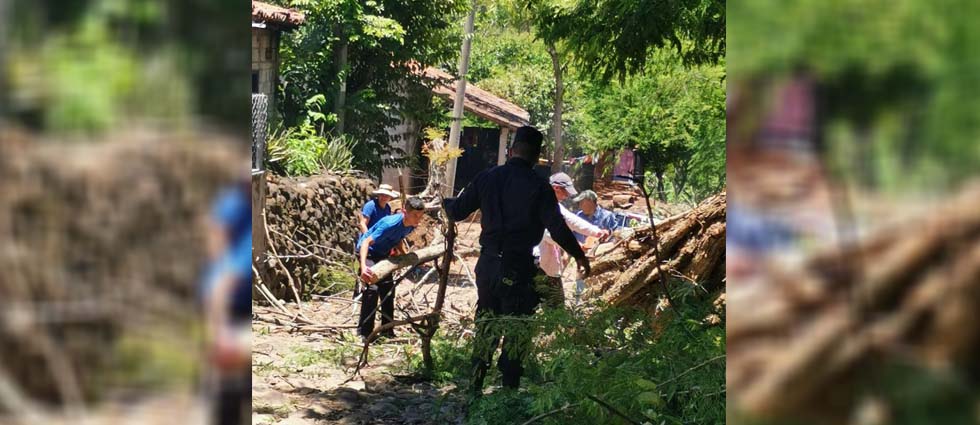 Policías ayudan a personas de un humilde cantón a remover árbol que cayó sobre la calle por las tormentas