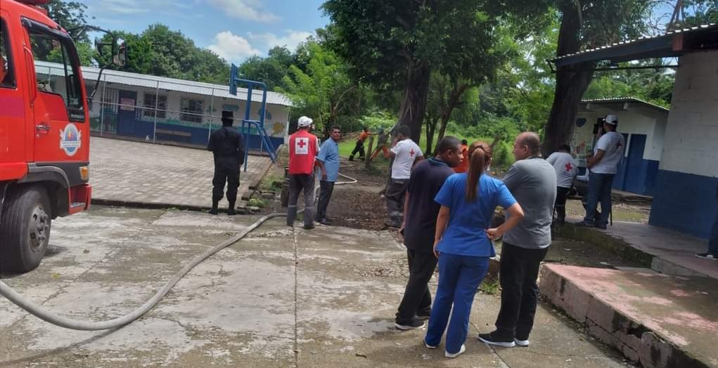 Reportan varios alumnos picados por abejas alborotadas en centro escolar