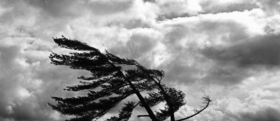 Vientos acelerados del norte y noreste azotarán a El Salvador durante la semana