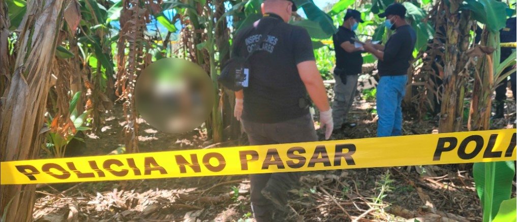Tras rastreo policial, encuentran a otros MS sin vida en San Miguel: La cifra se eleva a 4
