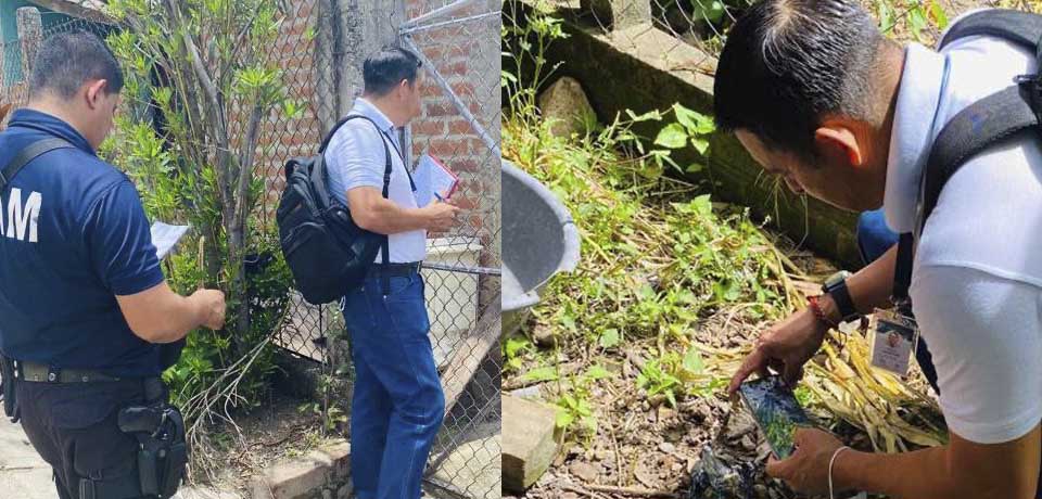 Investigan envenenamiento de 20 perros y 10 gatos en Texistepeque, Santa Ana