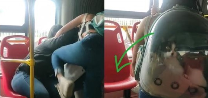 Mujeres pelean por un asiento en el metrobús en Bogotá | VIDEO