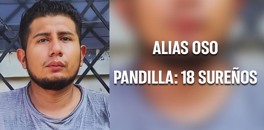 Atrapan a 18 sureño que tenía atemorizada a toda una comunidad
