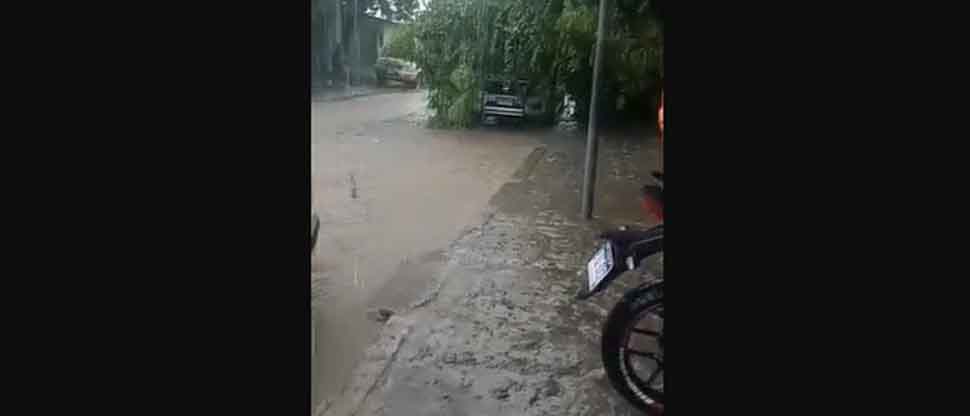 Hombre se salva de morir por un rayo, cuando intentaba grabar la caída de un árbol
