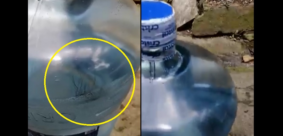 Encuentran una bola de pelos dentro de garrafa de agua purificada en Ilopango