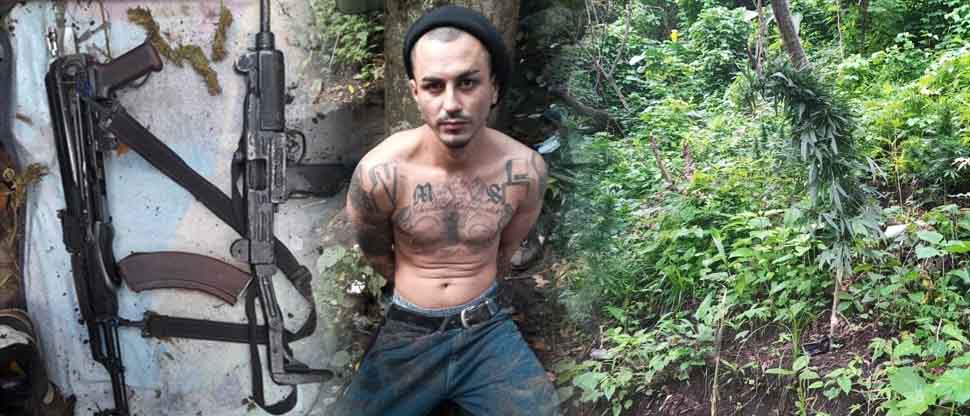 Se llevan preso al “Chory” por cultivar marihuana; estaba armado y se escondía en un campamento clandestino