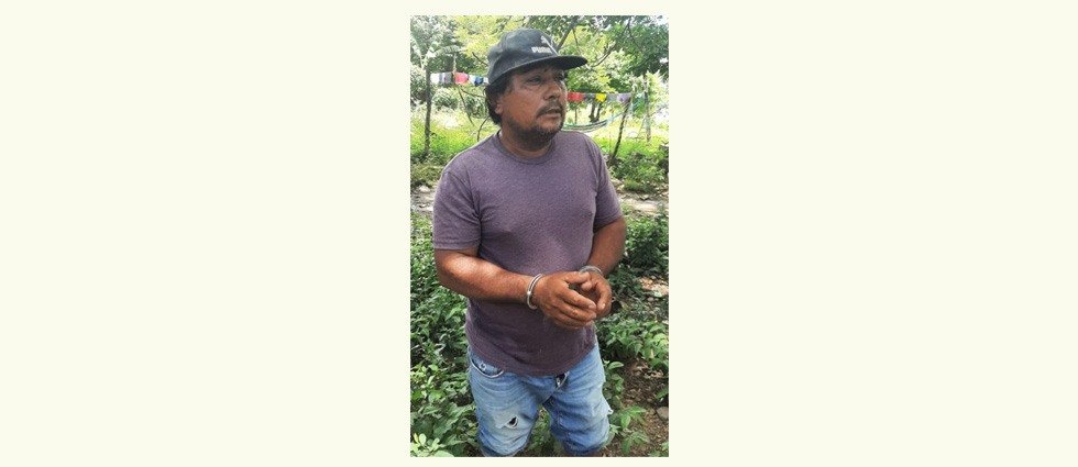 Arrestan a colaborador de la MS que se encargaba de brindarles alimentos
