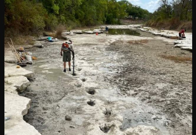 Grave sequía deja descubiertas huellas de dinosaurios en Texas