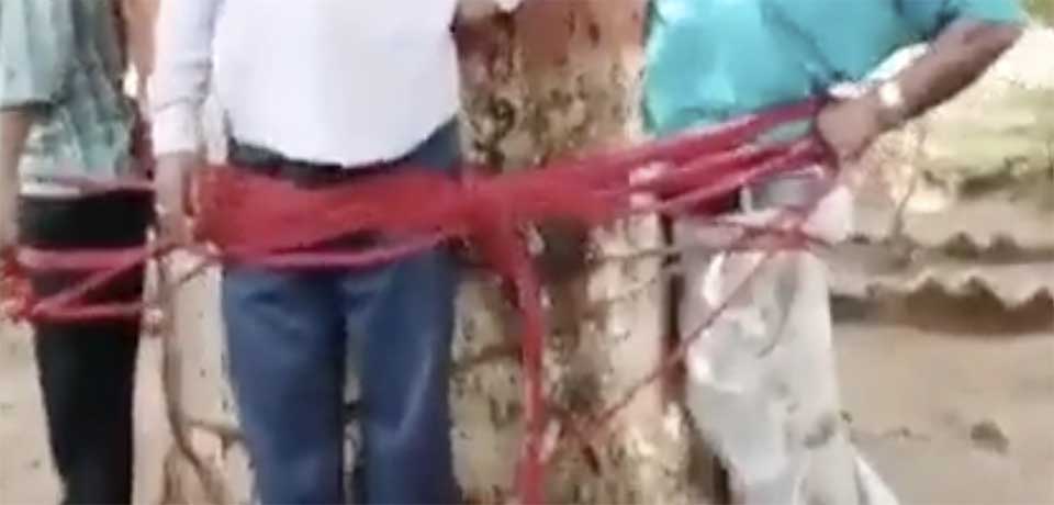 Estudiantes atan a su profesor a un árbol y lo golpean por ponerles malas notas 
