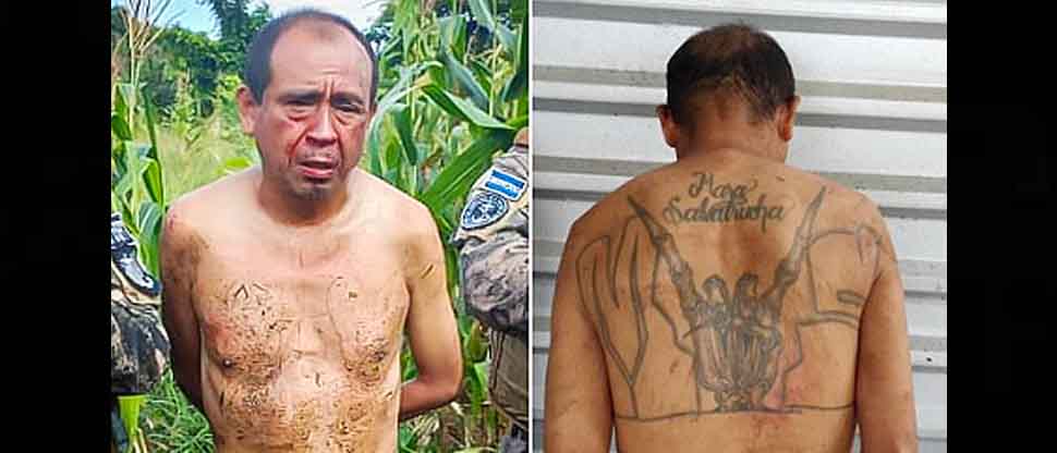 Militares interceptan al “Fantasma”, palabrero que se escondía en medio de una milpa