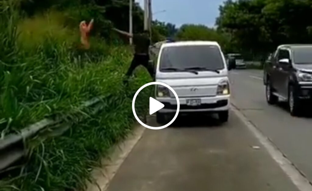 Captan a sujetos descargando gran cantidad de basura a la orilla de la carretera | VIDEO