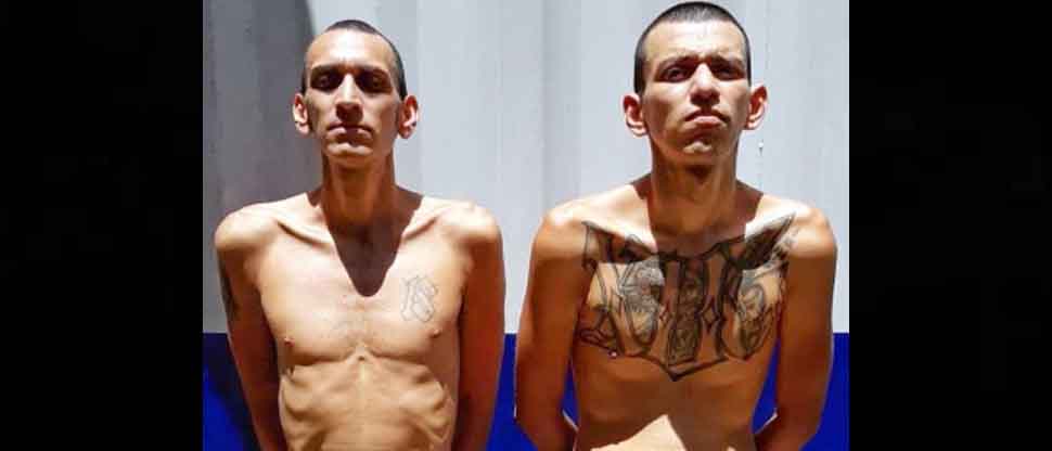 Pandilleros pensaron que saldrían libres para seguir delinquiendo, pero fueron recapturaron y van de regreso a prisión