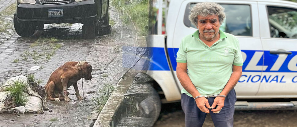 Arrestan a hombre que dejó amarrado a su perrito para que se mojara en una tormenta