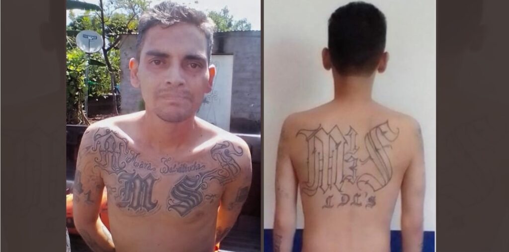 Extorsionista de Santa Ana se fue a un sector boscoso para intentar esconderse del Régimen de Excepción