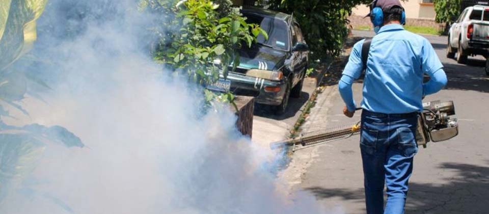 Desarrollan jornada de fumigación y abatización contra el zancudo