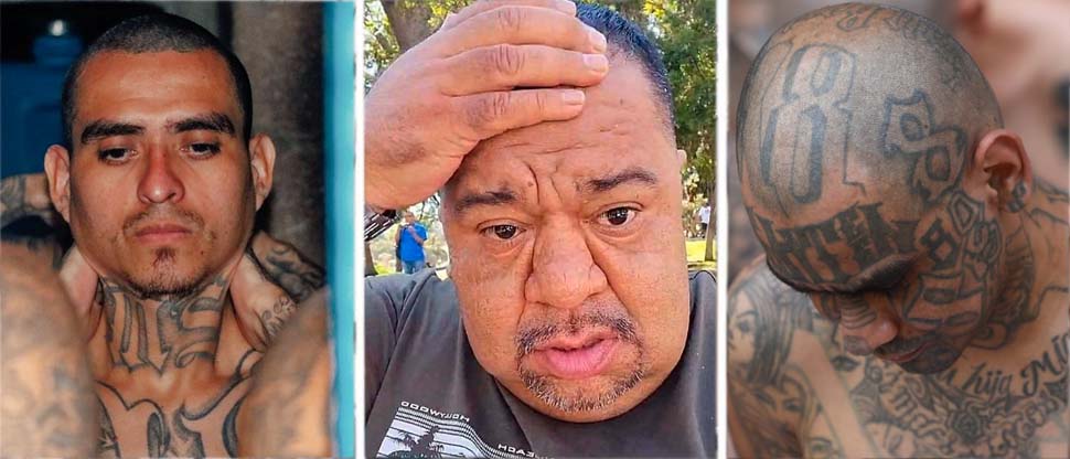 Líder de la oposición, Alex Umanzor, defiende a la MS y al Barrio 18