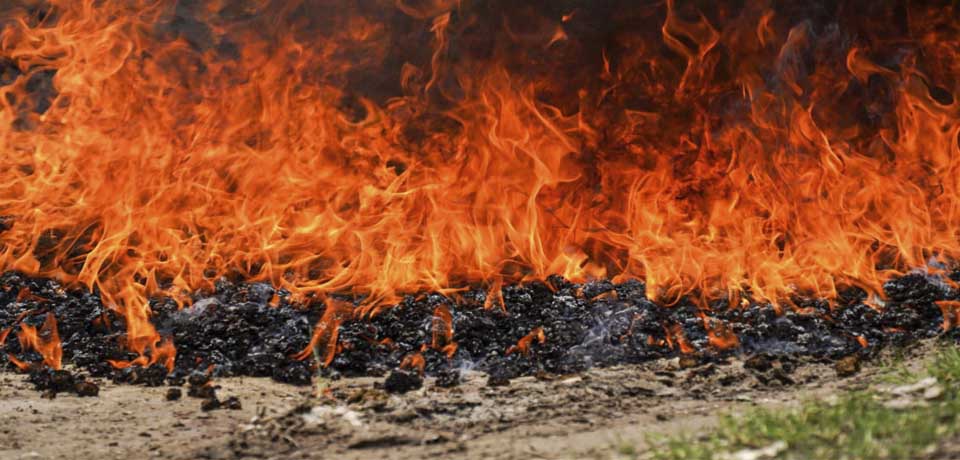 FGR destruye cocaína y marihuana valorada en más de $53,700