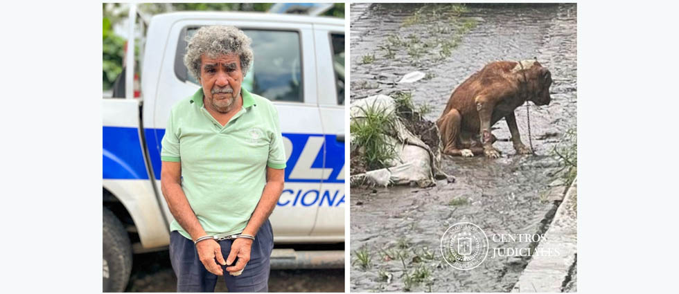 Condenan a un anciano por maltratar a su mascota