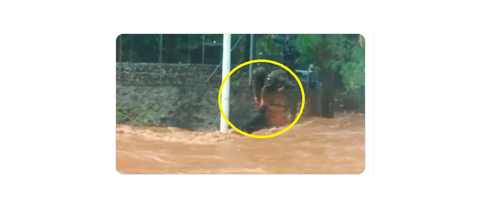 Militares rescatan a perrito que estaba a punto de ser arrastrado por la corriente