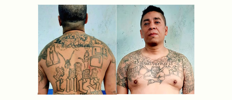 Sacan de las calles a cabecilla de la MS que por años ordenó decenas de ilícitos en Santa Ana