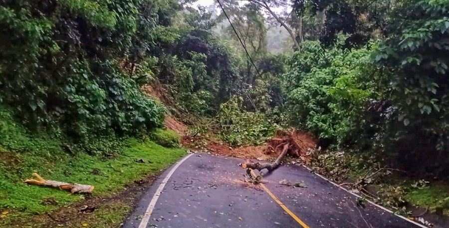 Derrumbe bloquea carretera hacia Panchimalco: autoridades ya trabajan en la zona