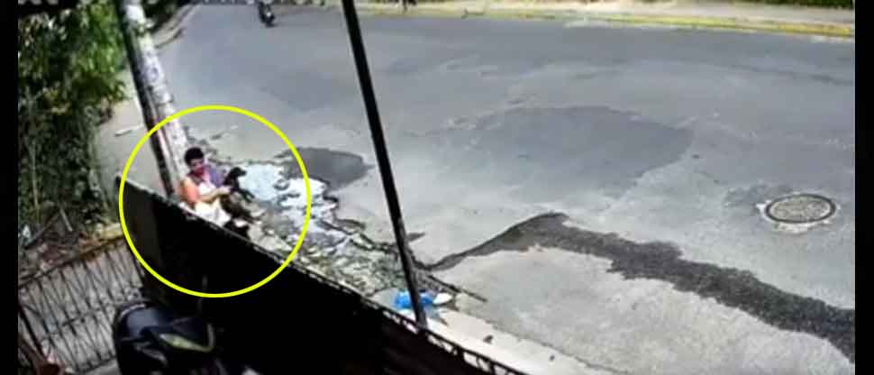 VIDEO: Cámara de seguridad capta el momento cuando mujer abandona a una perrita