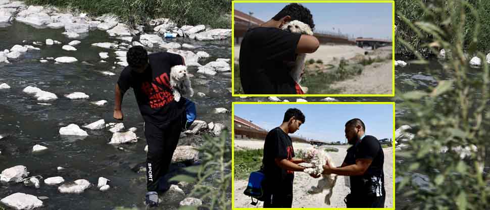 Joven venezolano emigró con su perrita hacia EUA, pero al cruzar la frontera no le permitieron quedársela