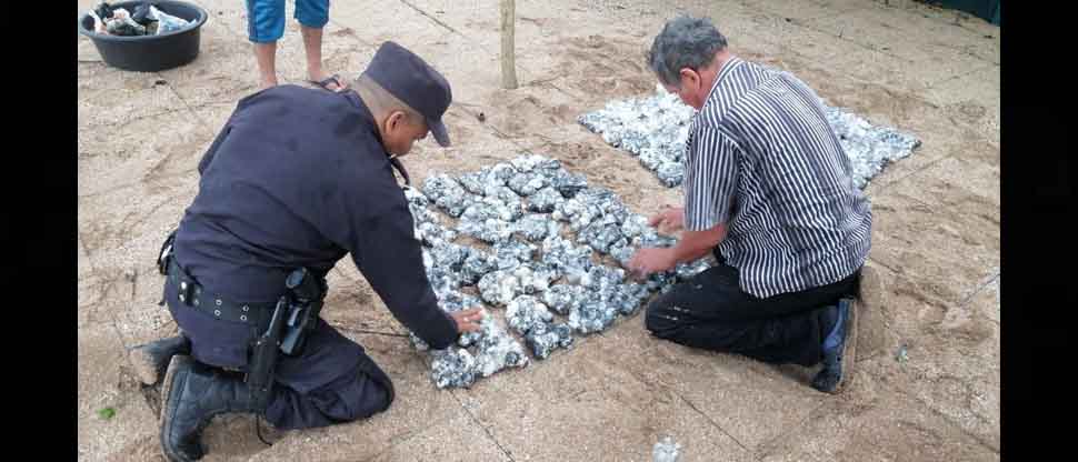 Policía captura a dos sujetos tras decomisarles 1,452 huevos de tortuga marina