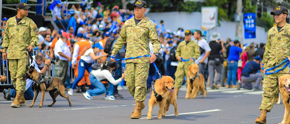 Efectivos militares caninos se ganan el cariño de los presentes en el desfile de independencia