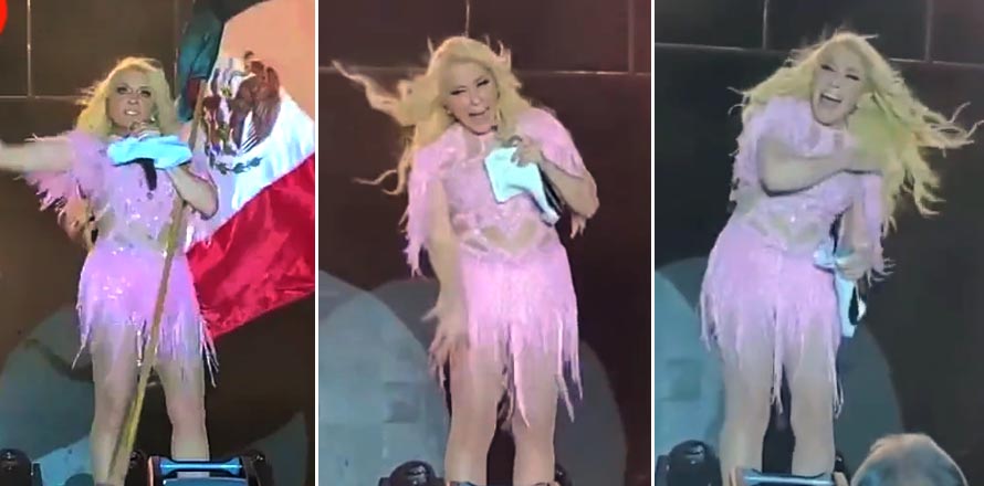 Cucaracha sorprende a Yuri en plena celebración de Independencia