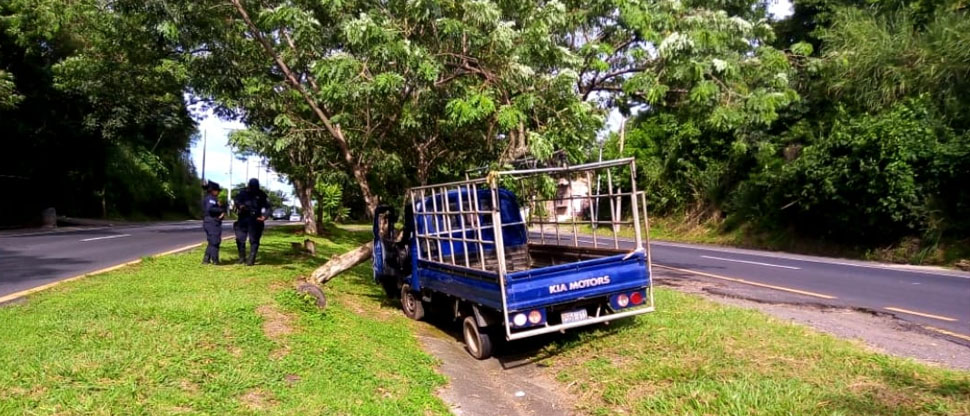 Motorista sufre politraumatismos tras chocar contra un árbol en San Rafael Cedros
