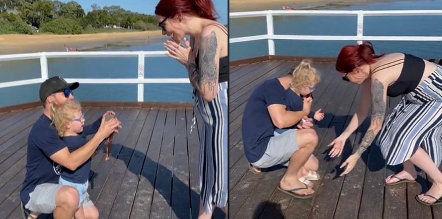 Hombre pide matrimonio a su novia en un muelle y se le cae el anillo
