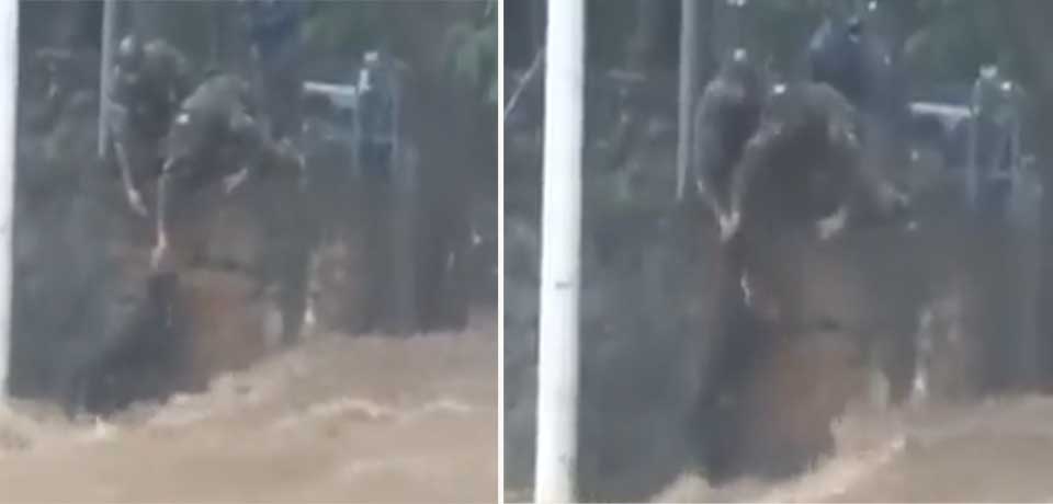 Soldados rescatan a perrito que estaba a punto de ser arrastrado por la corriente de un río