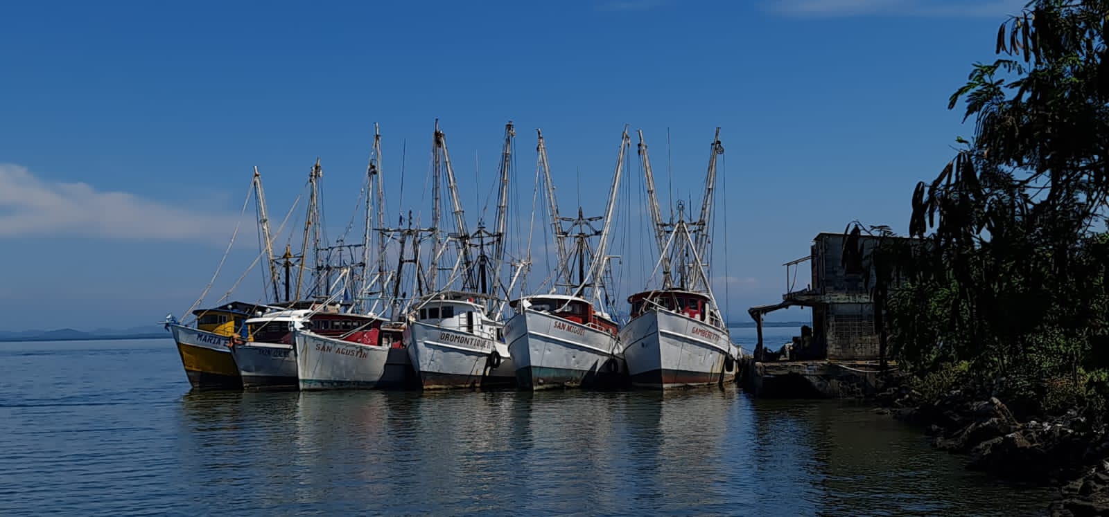 Mañana 04 de octubre inicia la veda de camarón en El Salvador ¿Cuánto tiempo durará?