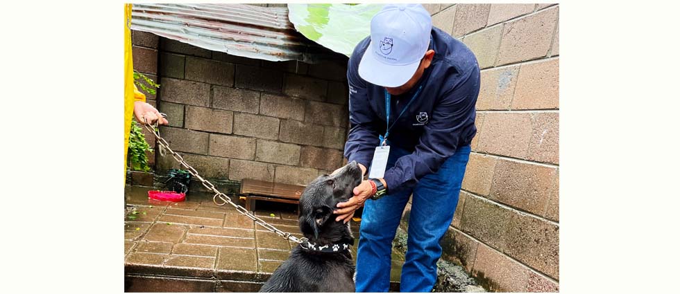 Rescatan a can cuyos dueños lo dejaron a la intemperie soportando las tormentas provocadas por Julia